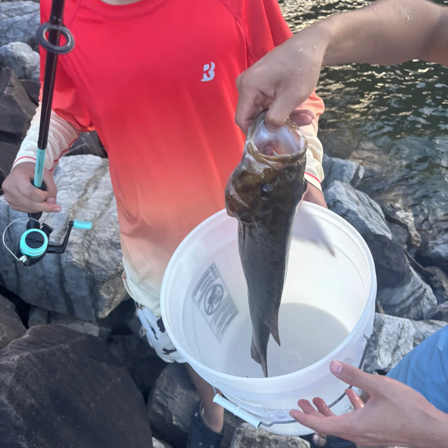 Fish caught on Fishbrain