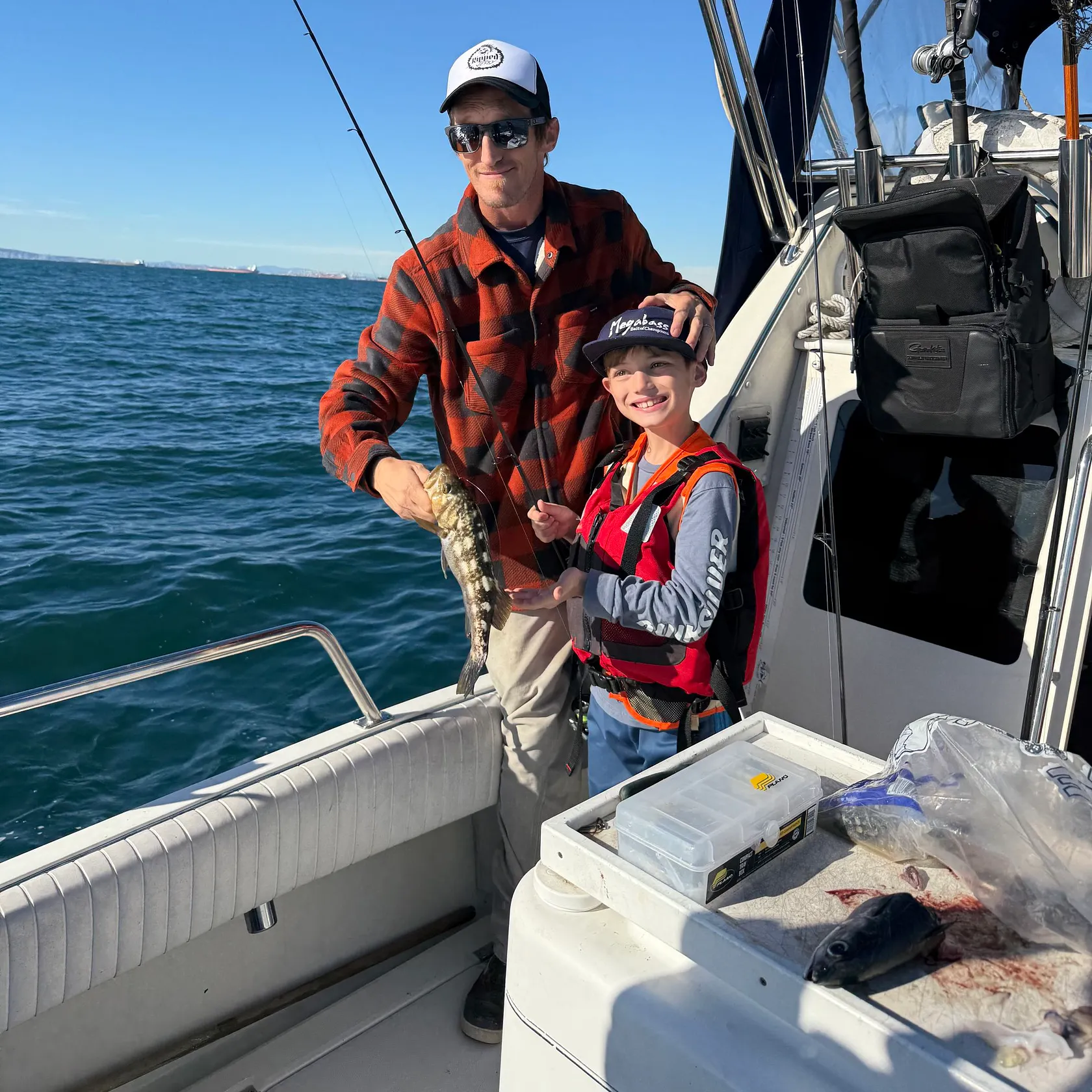 The most recent Kelp bass catches on Fishbrain
