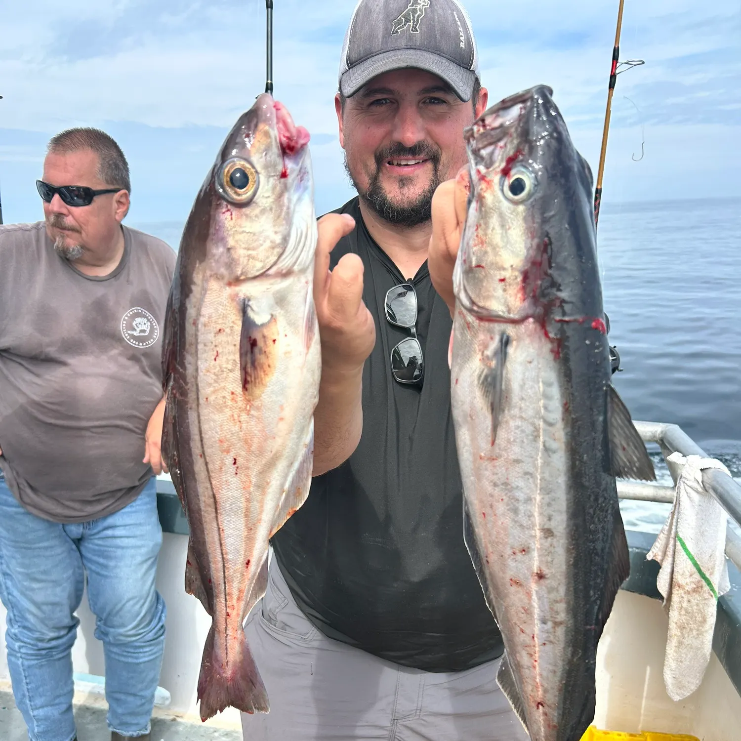 Haddock caught on Fishbrain