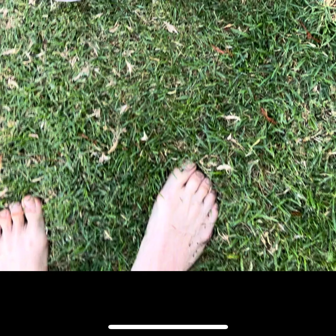 The most recent Murray cod catches on Fishbrain