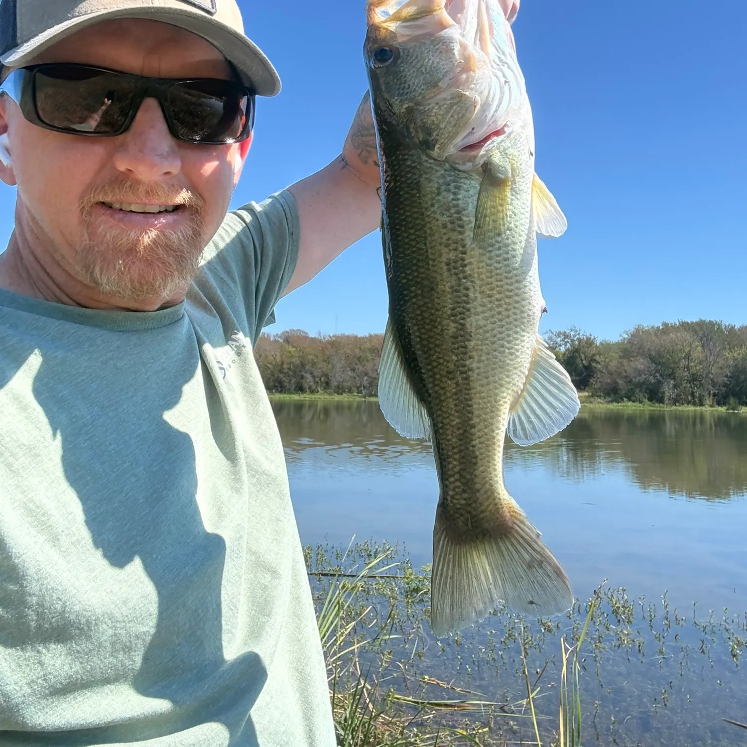 Largemouth bass caught on Fishbrain