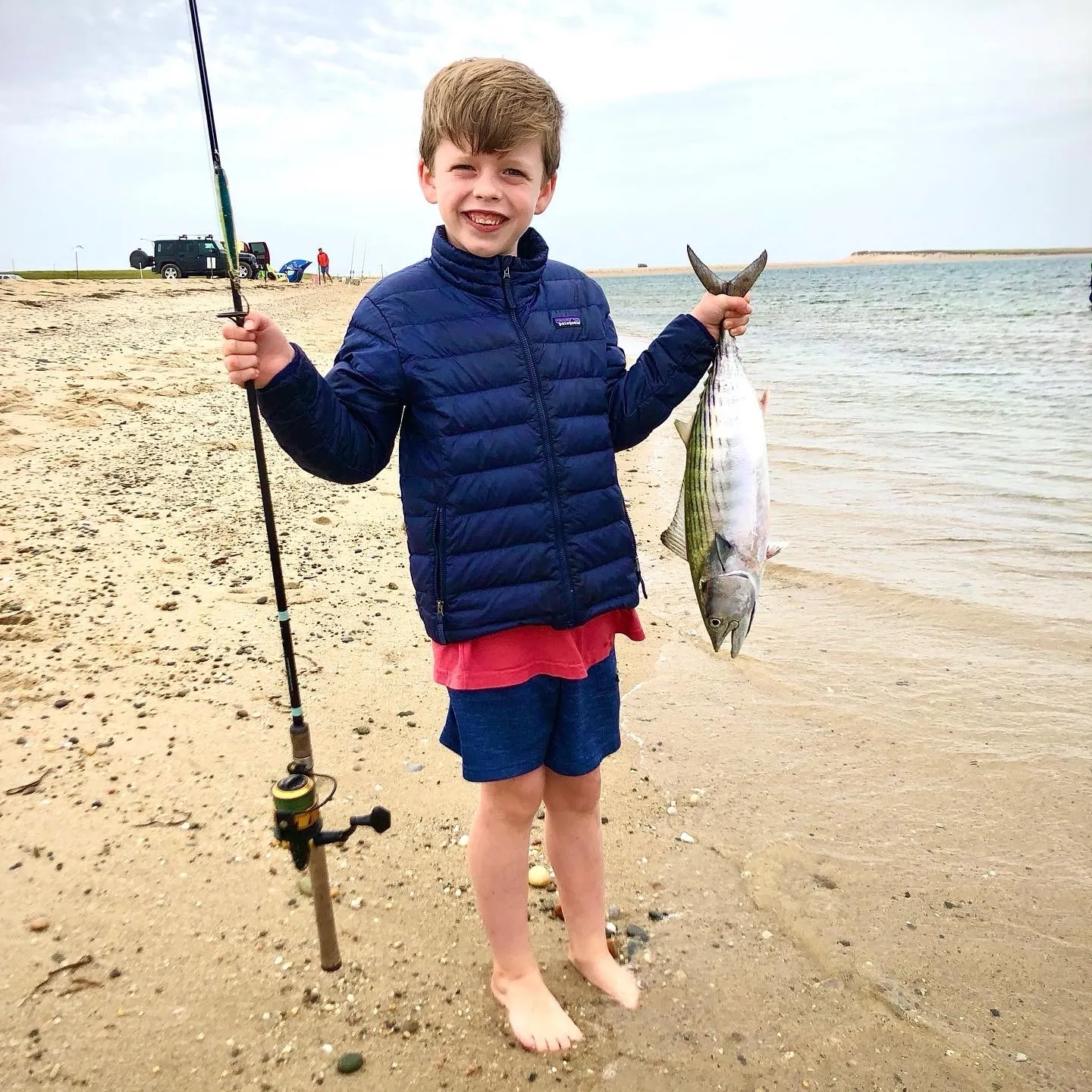 Eastern Pacific bonito caught on Fishbrain