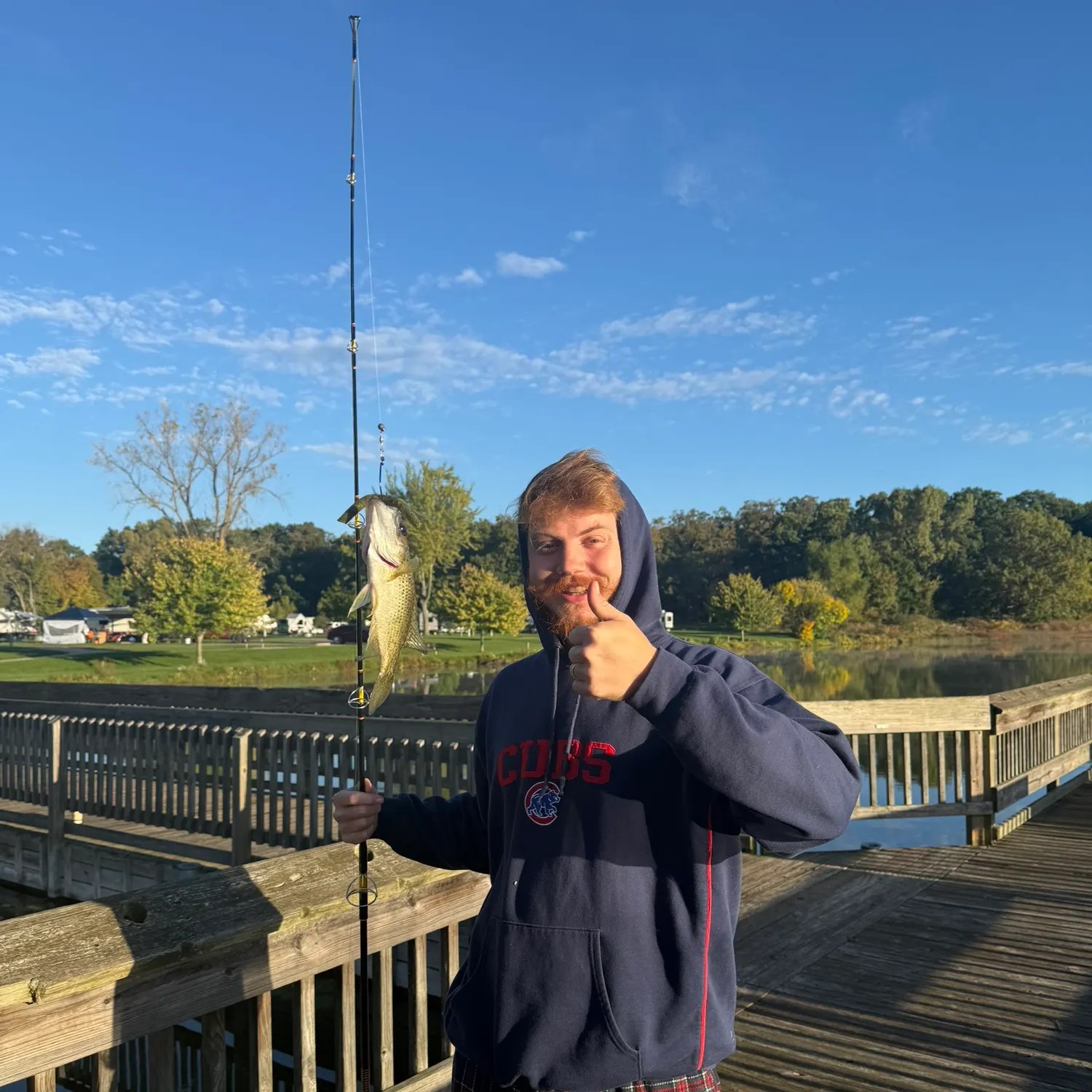 Rock bass caught on Fishbrain