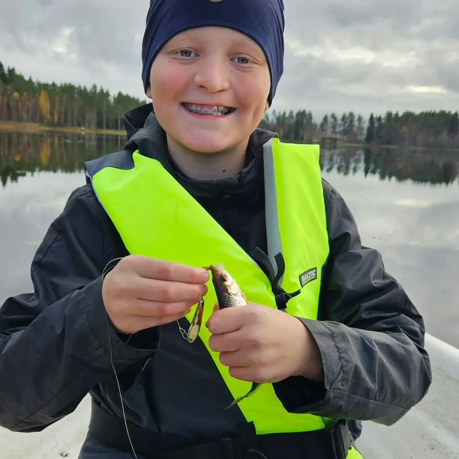 The most recent Common roach catches on Fishbrain