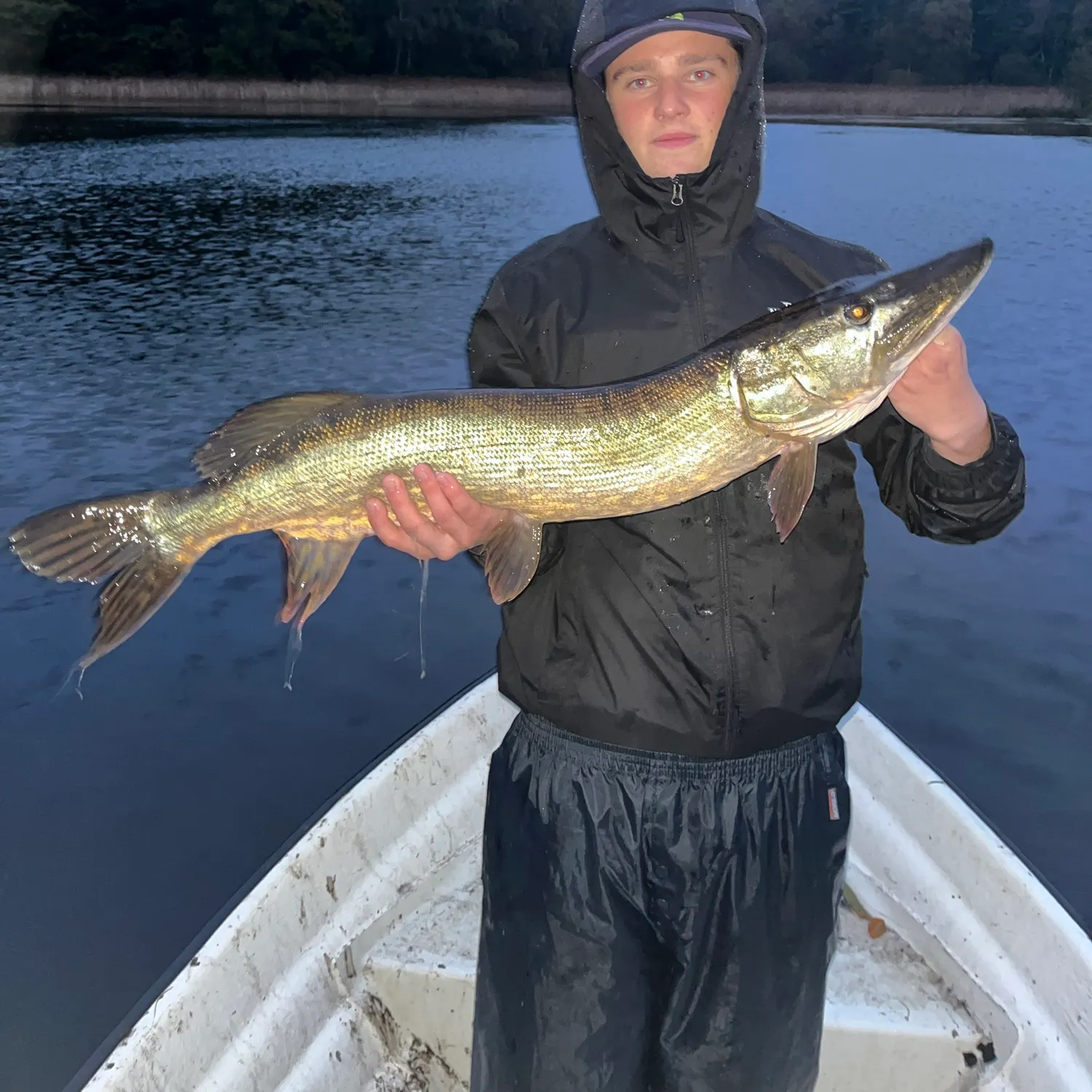 Northern pike caught on Fishbrain