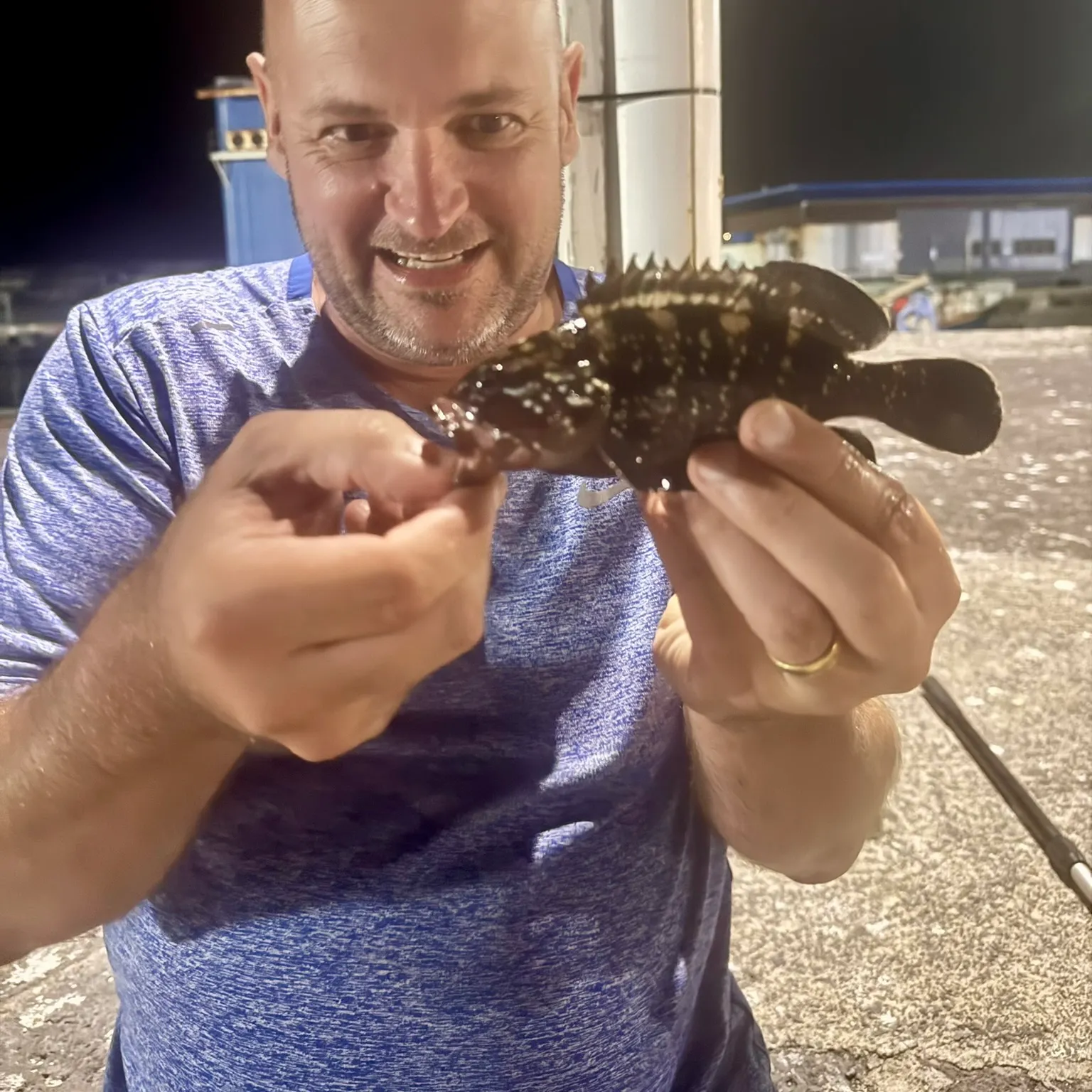 The most recent Dusky grouper catches on Fishbrain