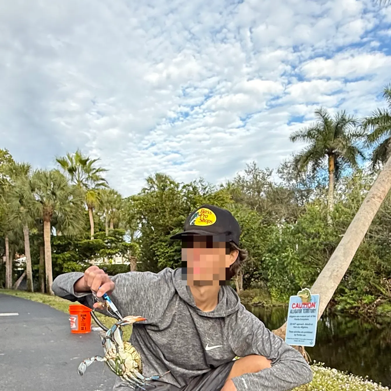 The most recent Blue crab catches on Fishbrain