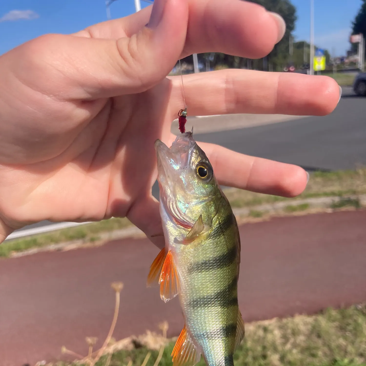 catch