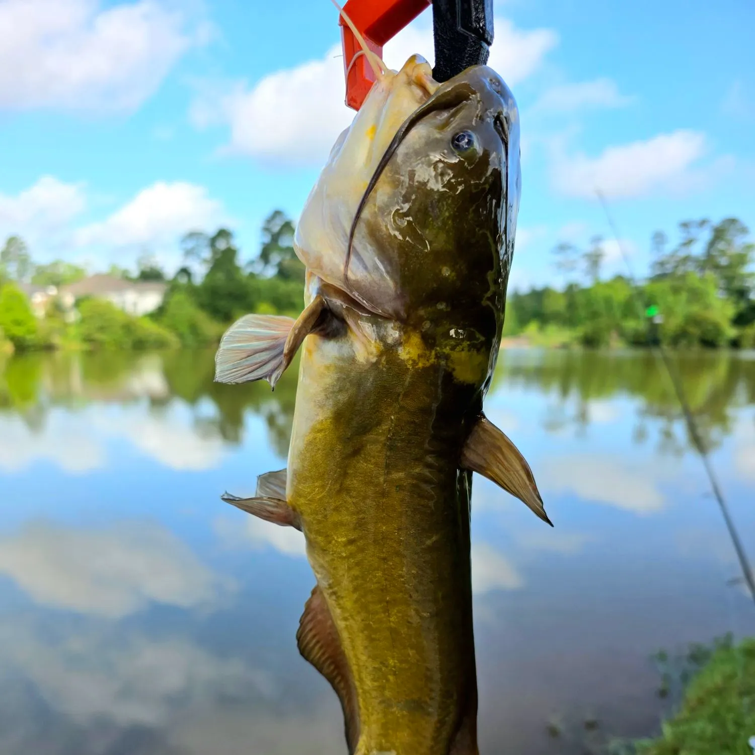 catch