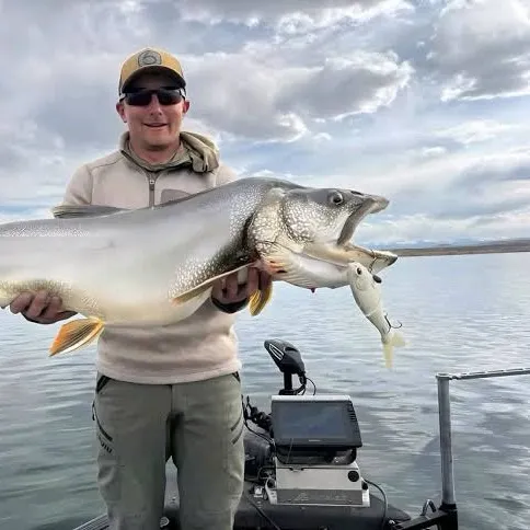 Lake char caught on Fishbrain