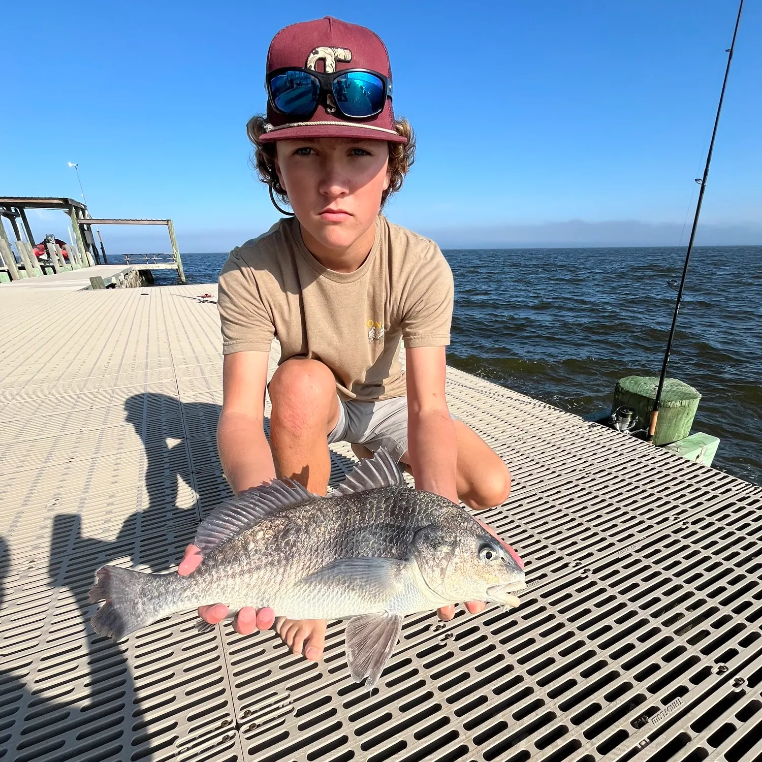 The most recent Black drum catches on Fishbrain