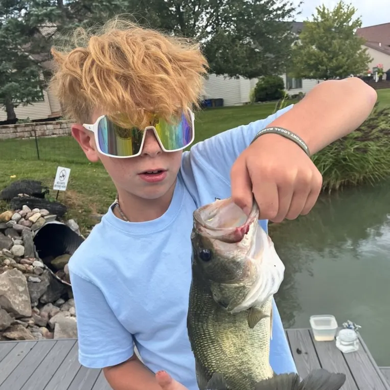 Largemouth bass caught on Fishbrain