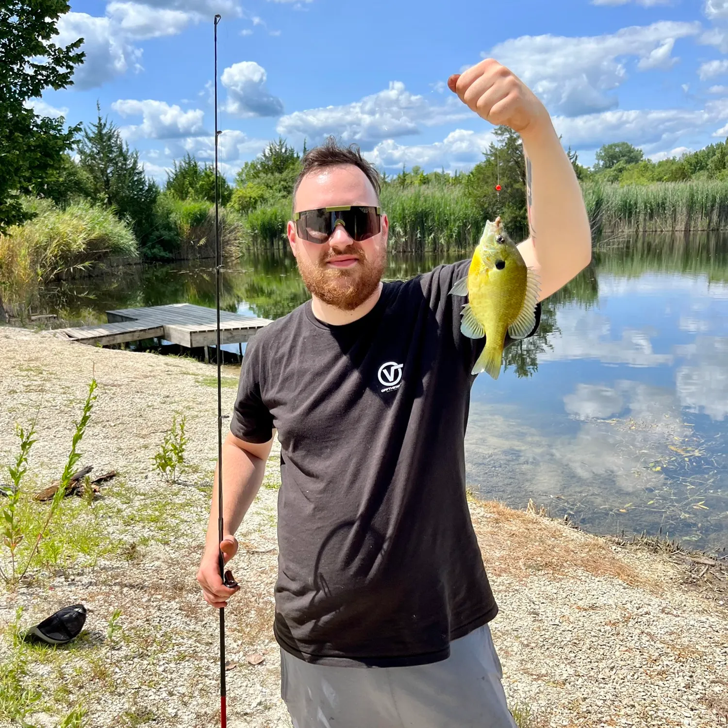 Bluegill caught on Fishbrain