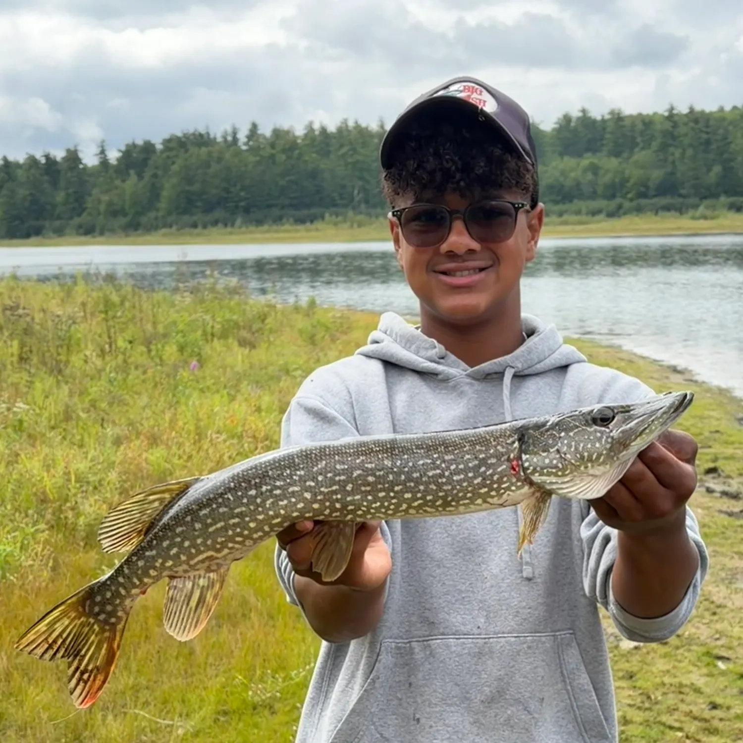 Northern pike caught on Fishbrain