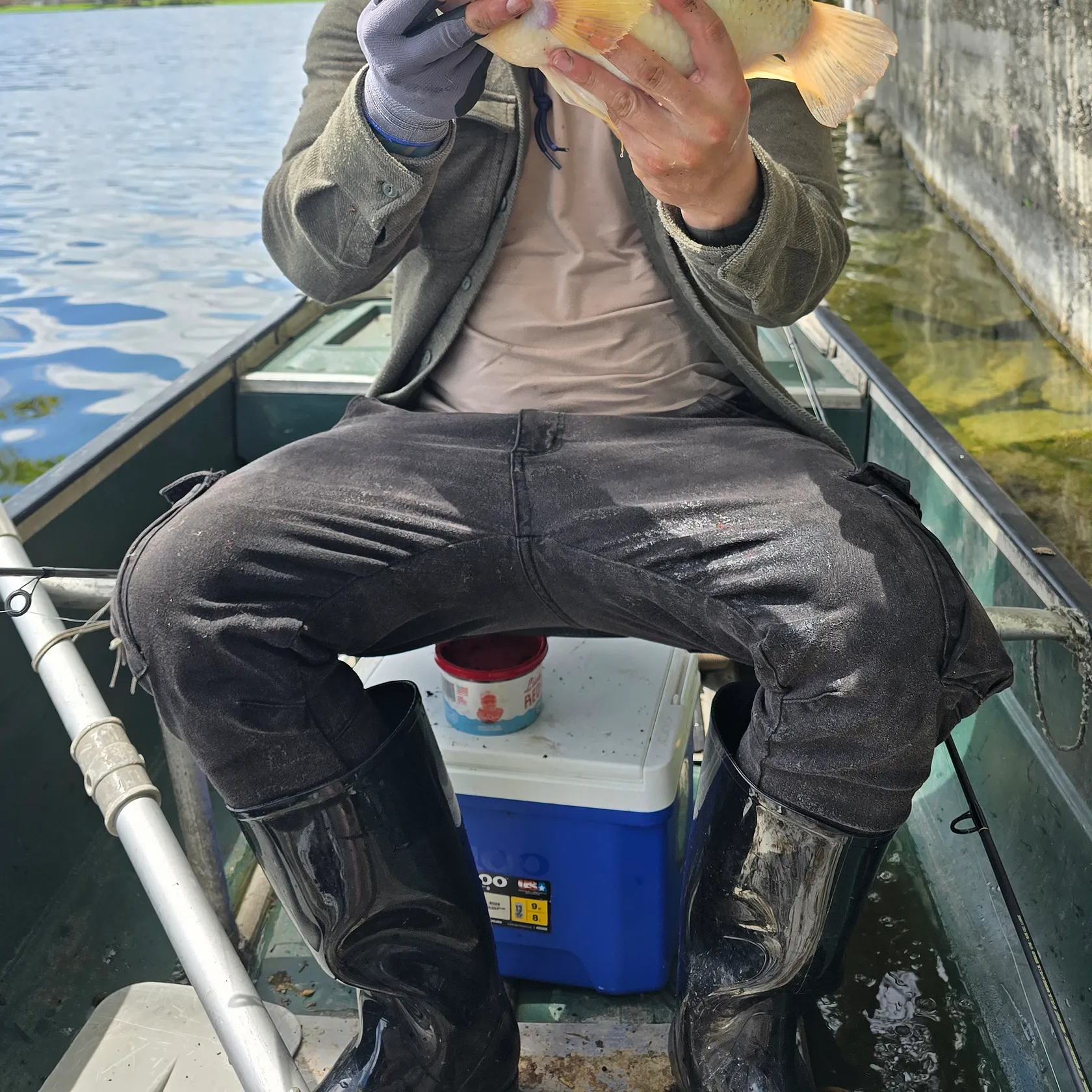 most liked catch image