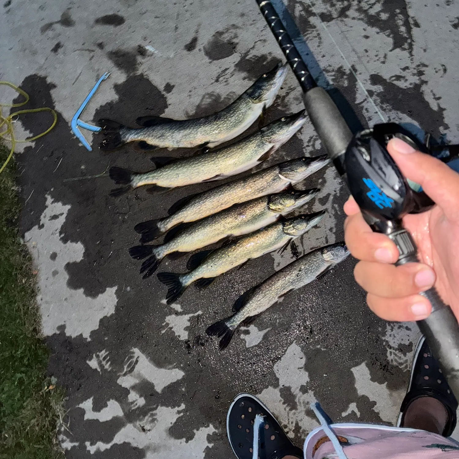 catch