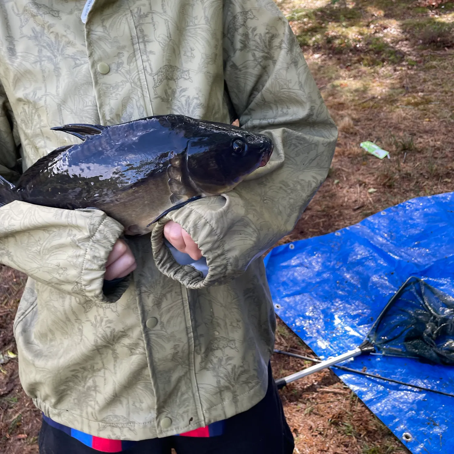 Fish caught on Fishbrain