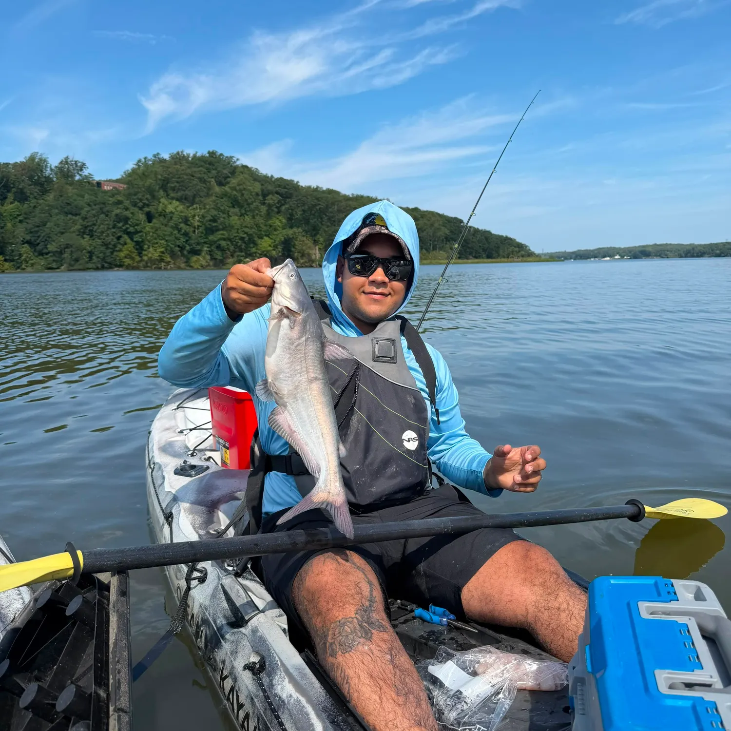 The most recent Blue catfish catches on Fishbrain