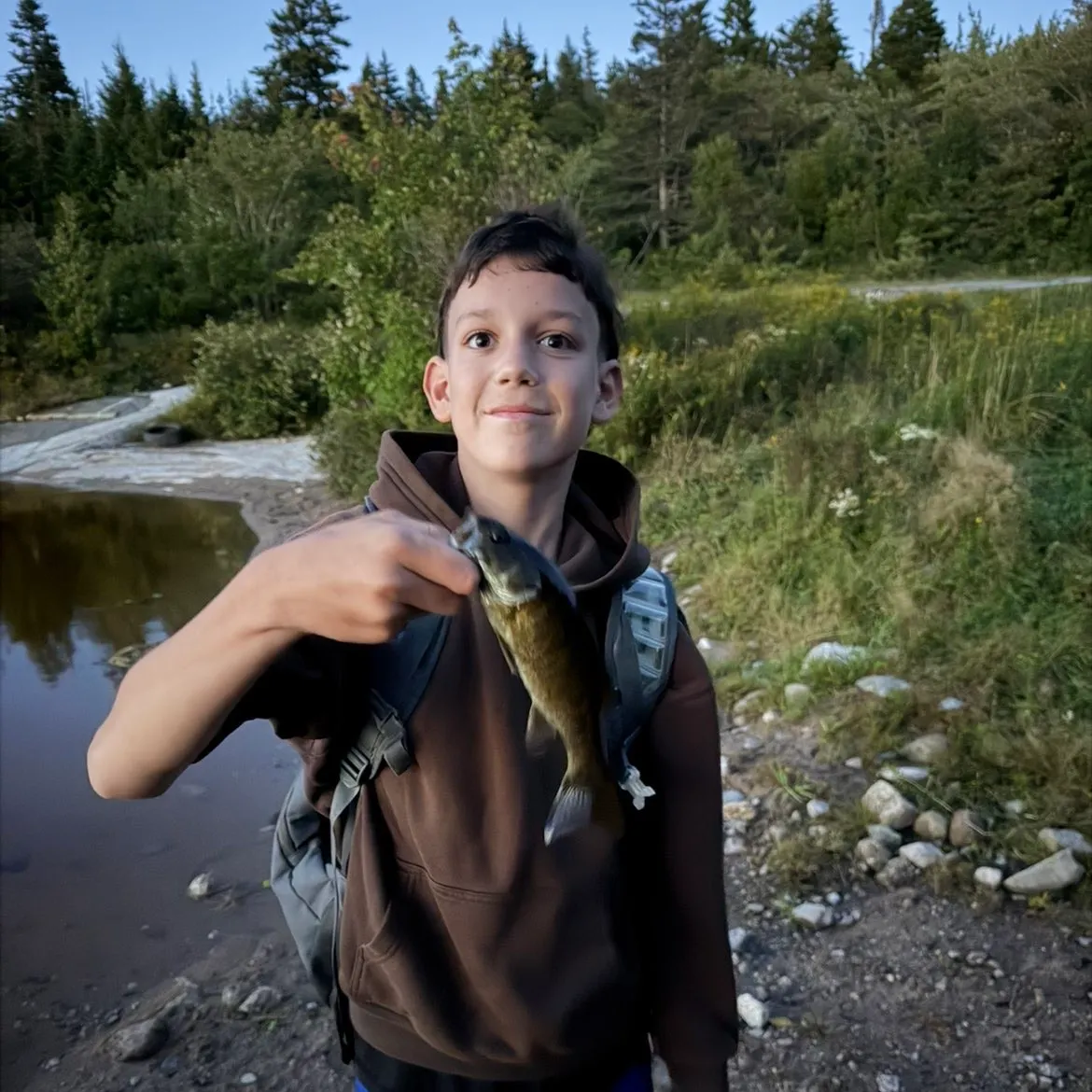 Smallmouth bass caught on Fishbrain