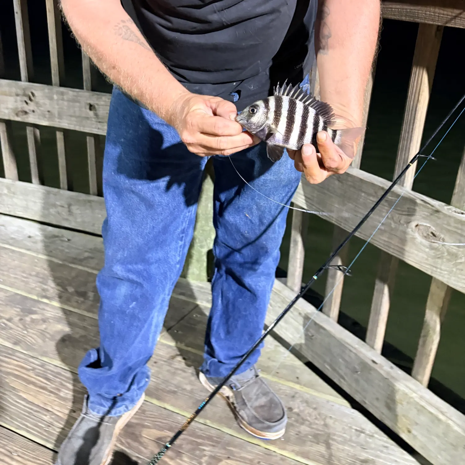 Sheepshead caught on Fishbrain