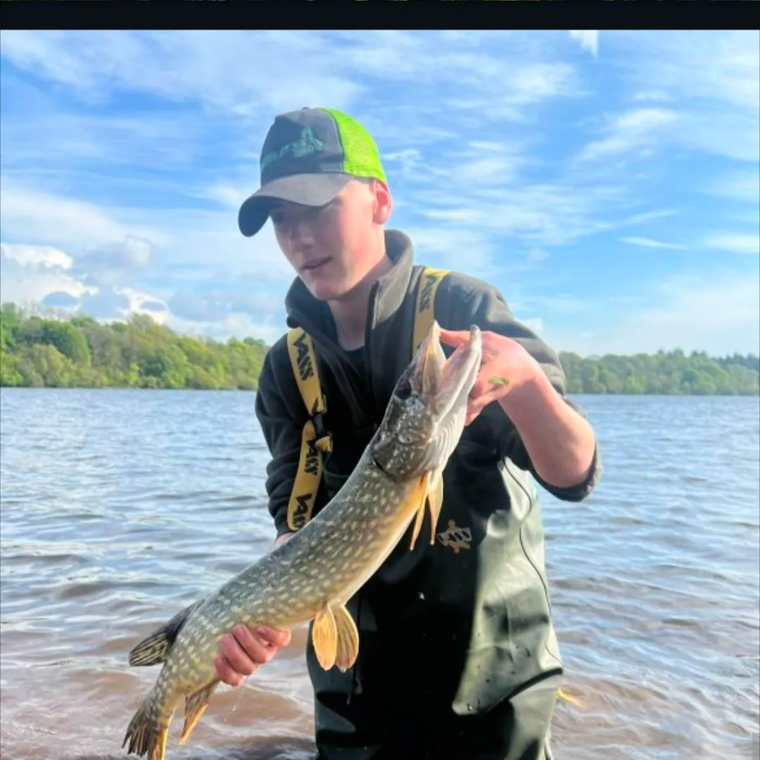 Fish caught on Fishbrain