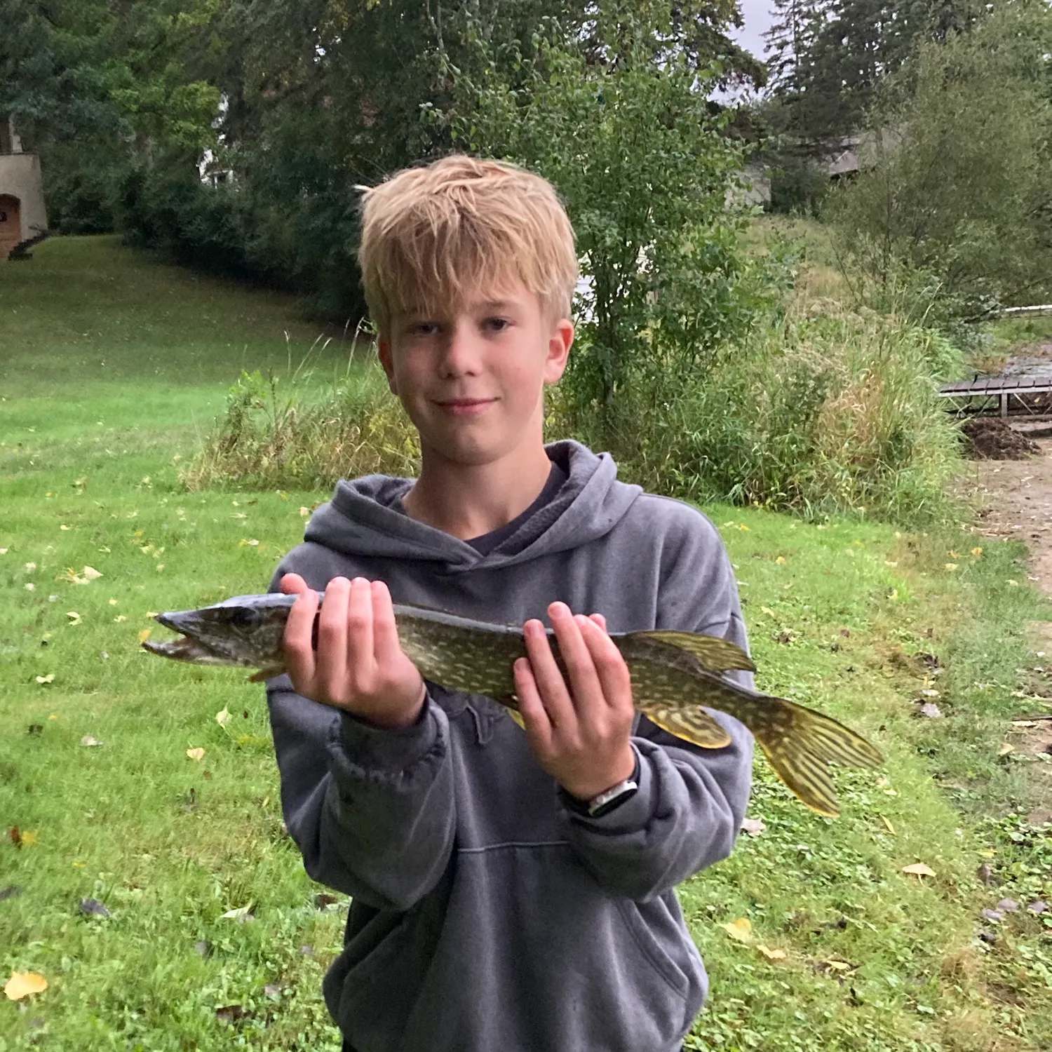 Northern pike caught on Fishbrain