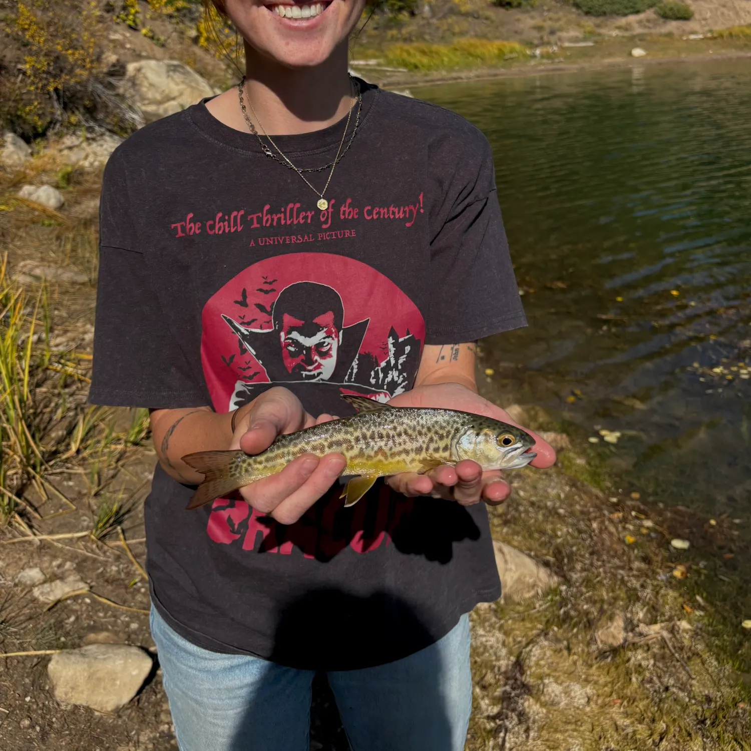 Tiger trout caught on Fishbrain