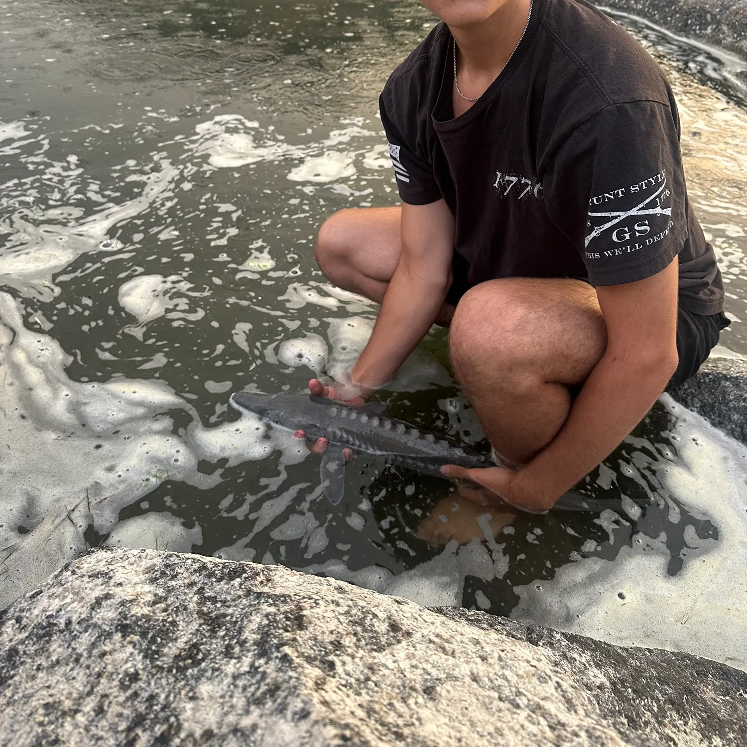 The most recent White sturgeon catches on Fishbrain