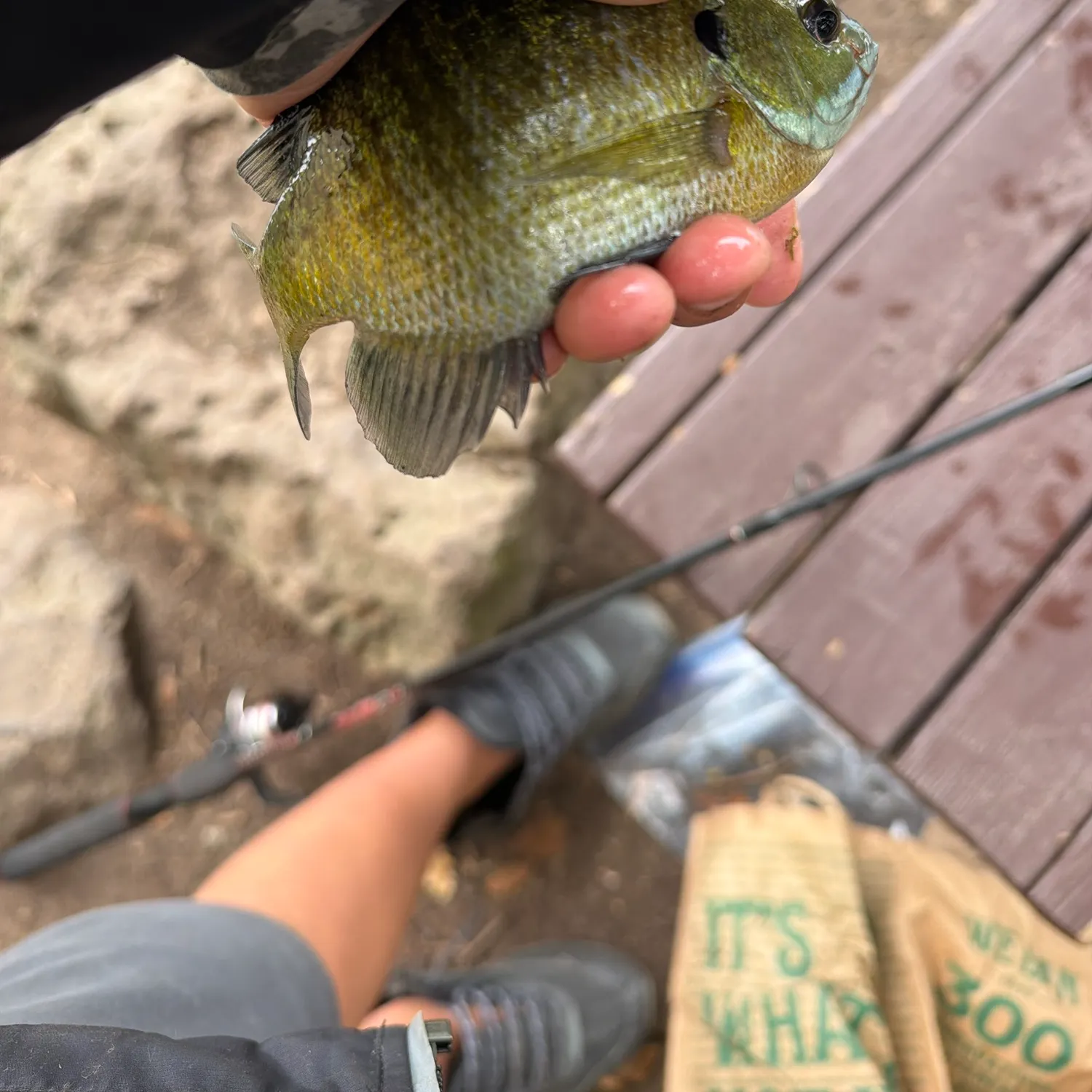 catch