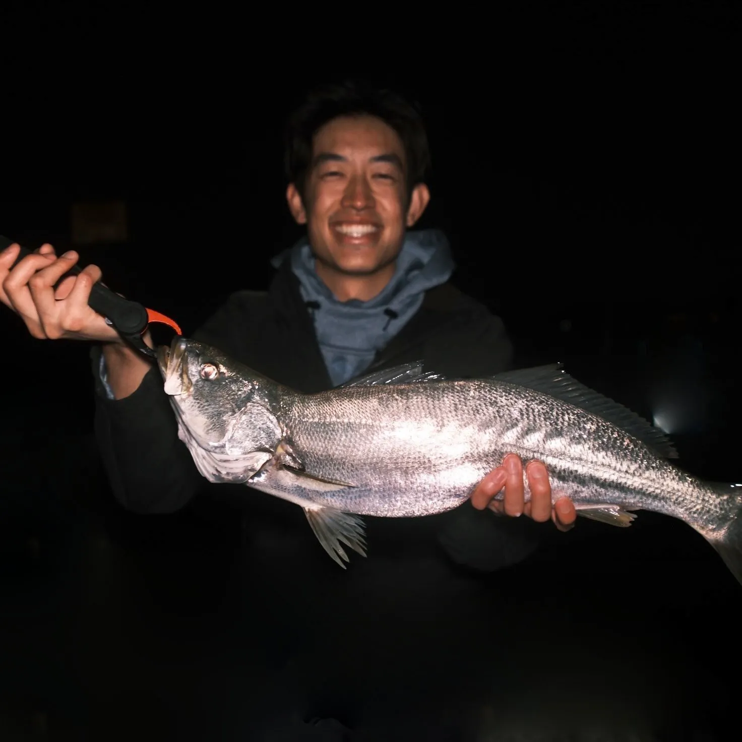The most recent Shortfin corvina catches on Fishbrain