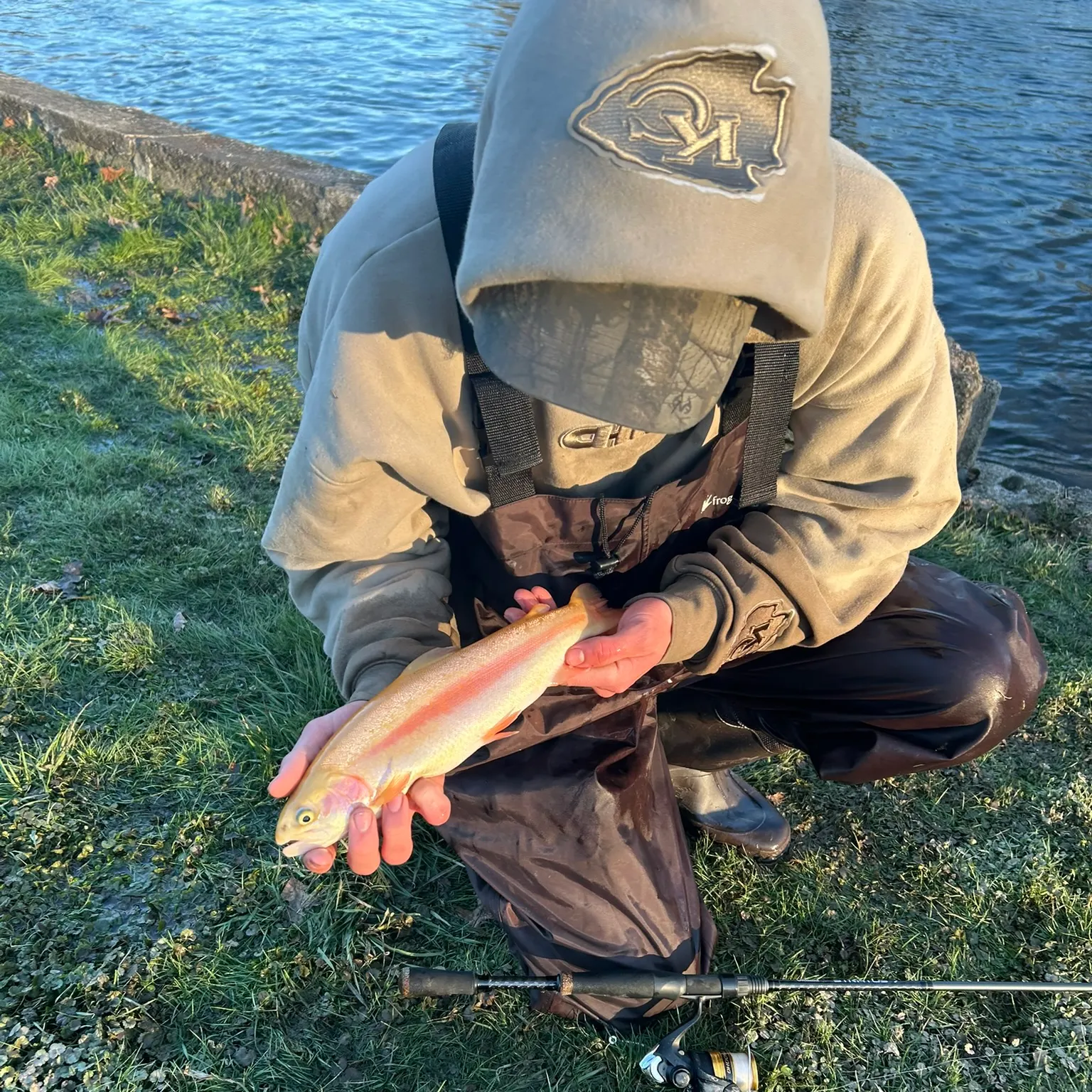 The most recent Golden rainbow trout catches on Fishbrain