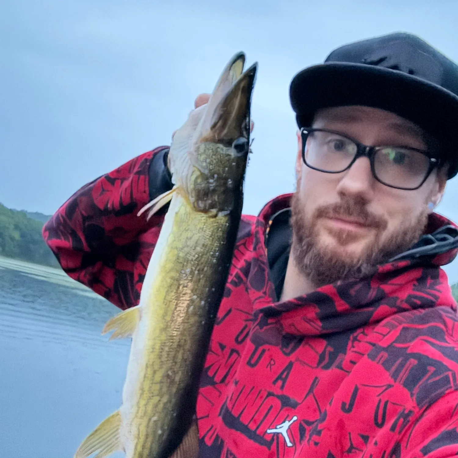 Chain pickerel caught on Fishbrain