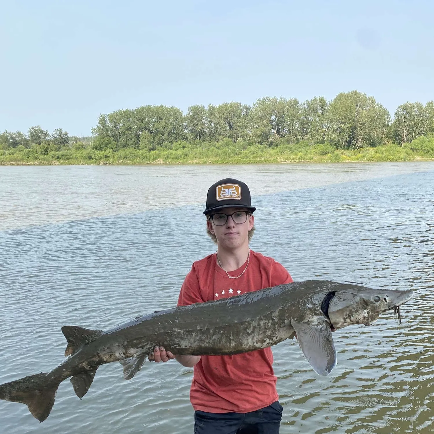 The most recent Lake sturgeon catches on Fishbrain