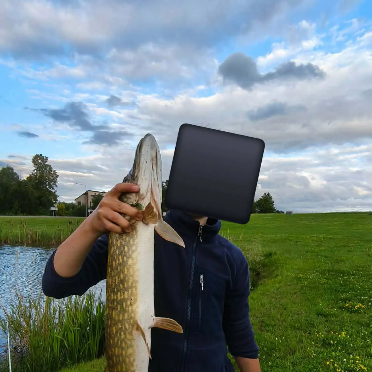 Northern pike caught on Fishbrain