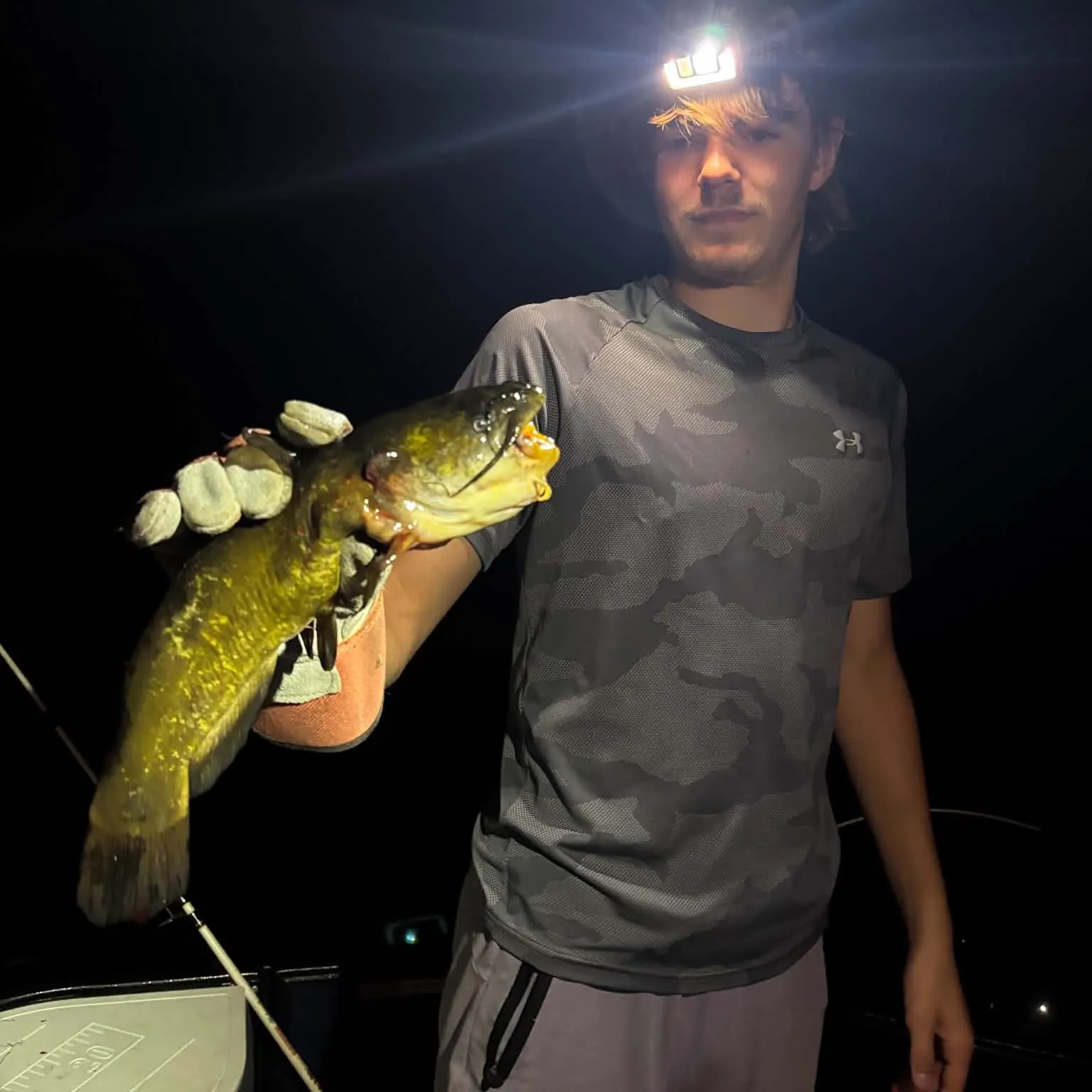 Yellow bullhead caught on Fishbrain