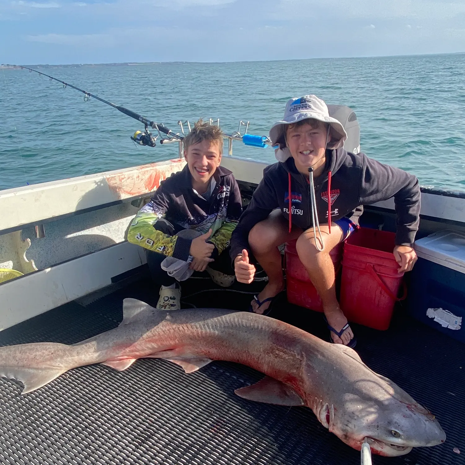 The most recent Gummy shark catches on Fishbrain