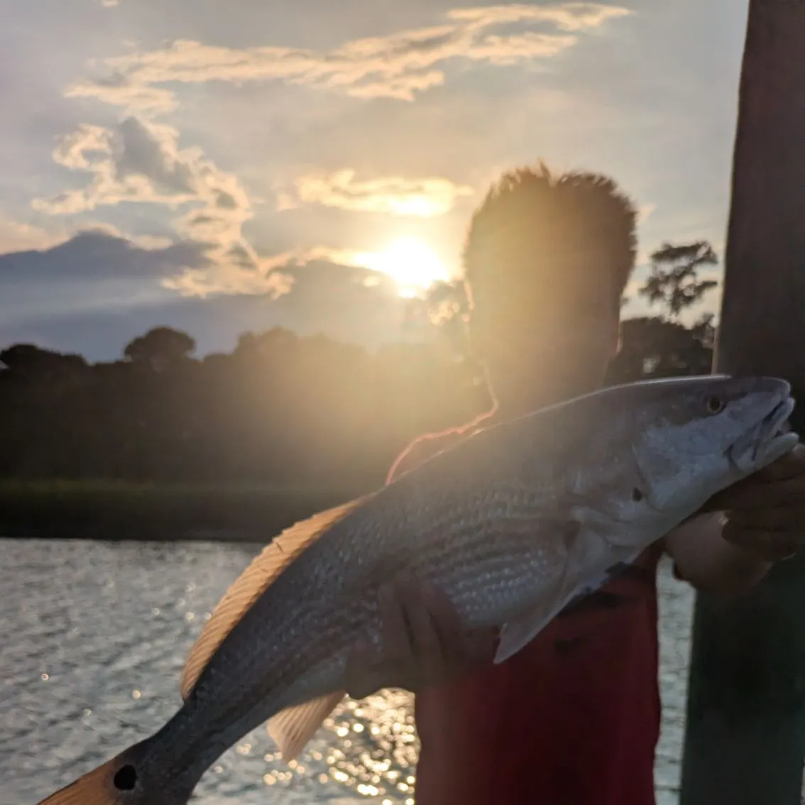 Fish caught on Fishbrain