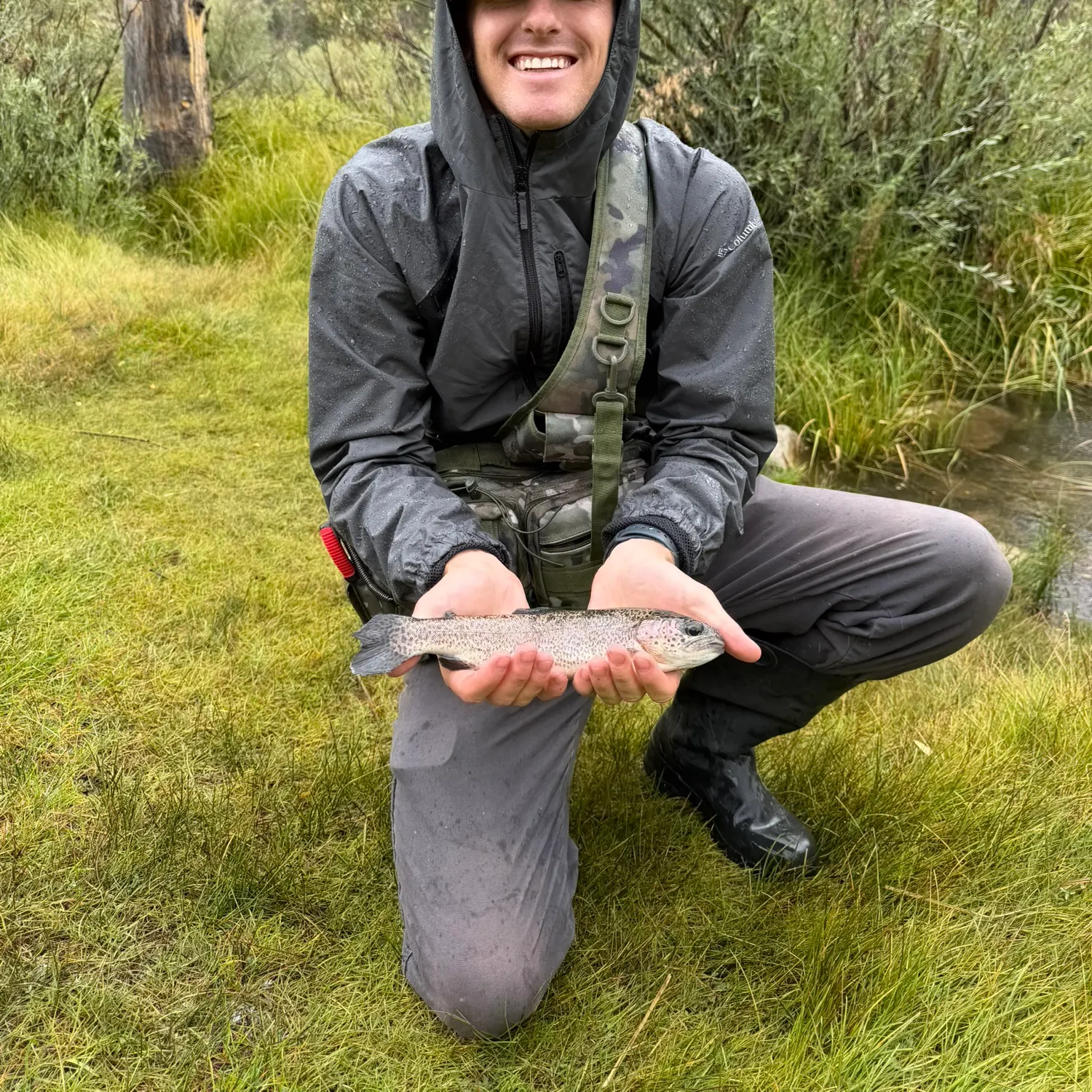 Rainbow trout caught on Fishbrain