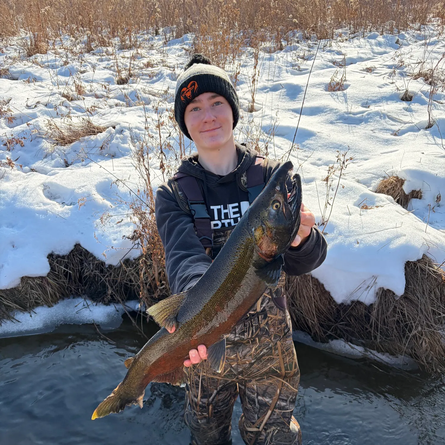 The most recent Coho salmon catches on Fishbrain