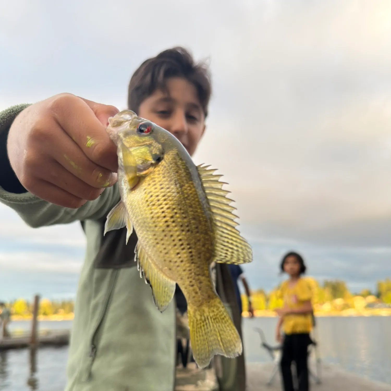 Rock bass caught on Fishbrain