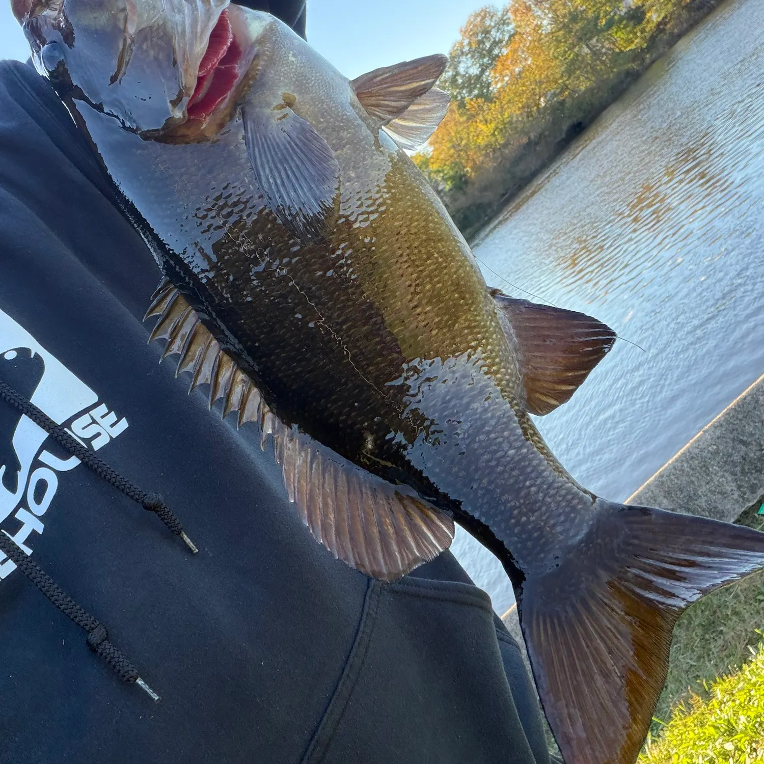 Smallmouth bass caught on Fishbrain