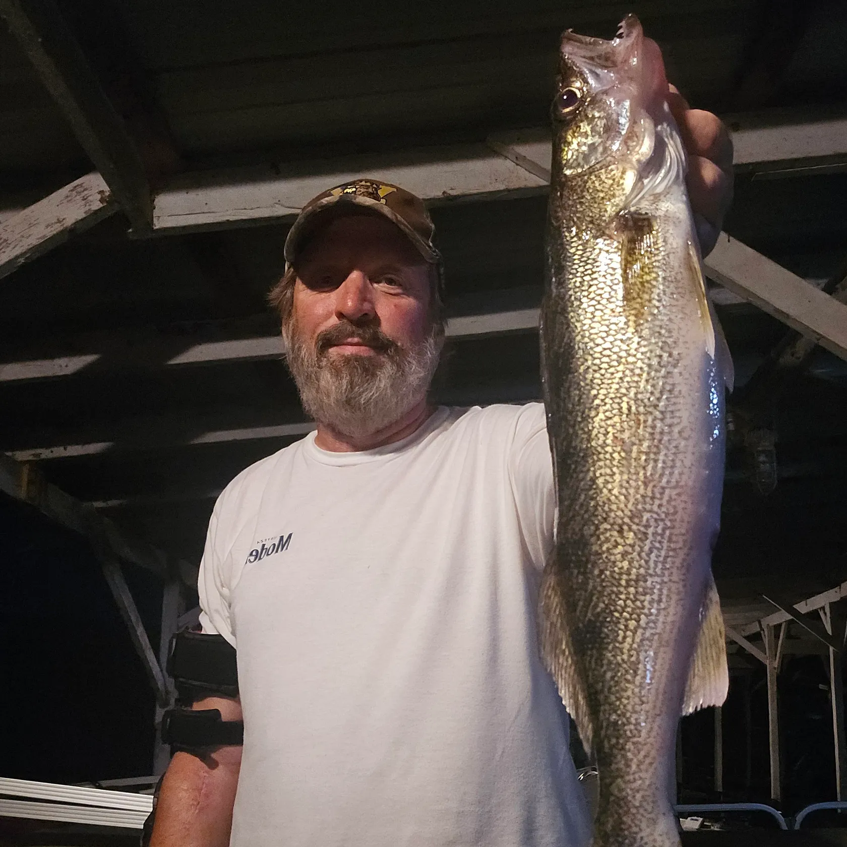 Walleye caught on Fishbrain