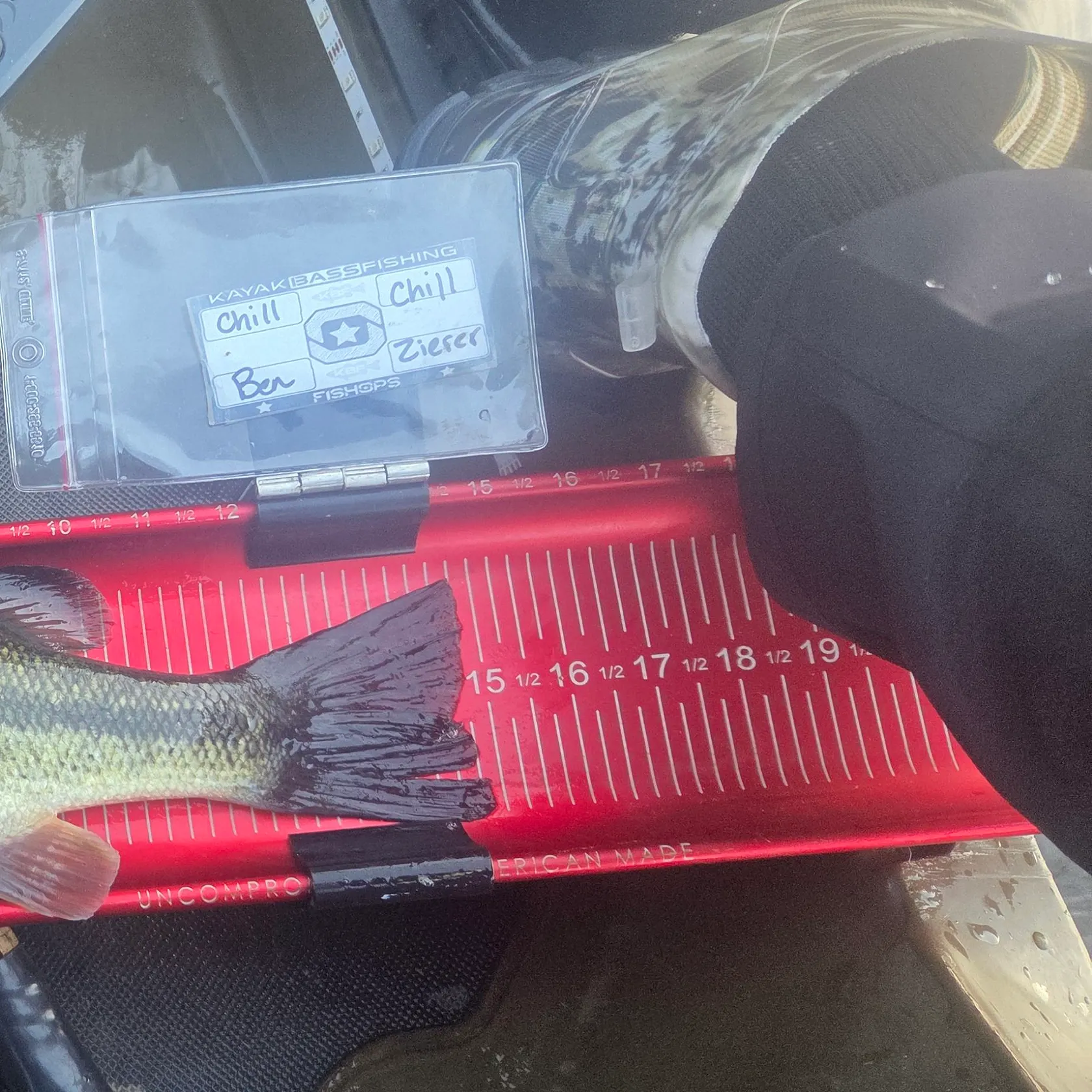 recently logged catches