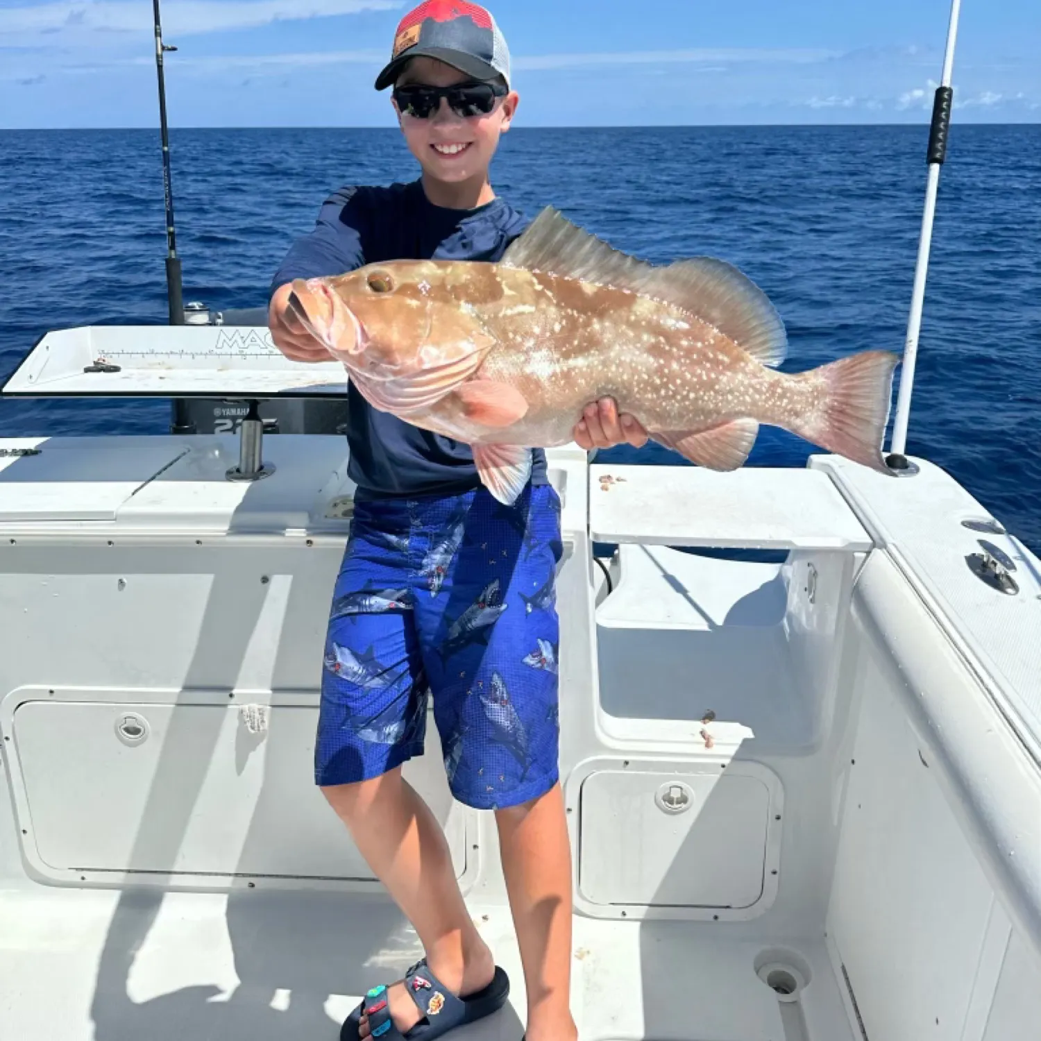 The most recent Red grouper catches on Fishbrain