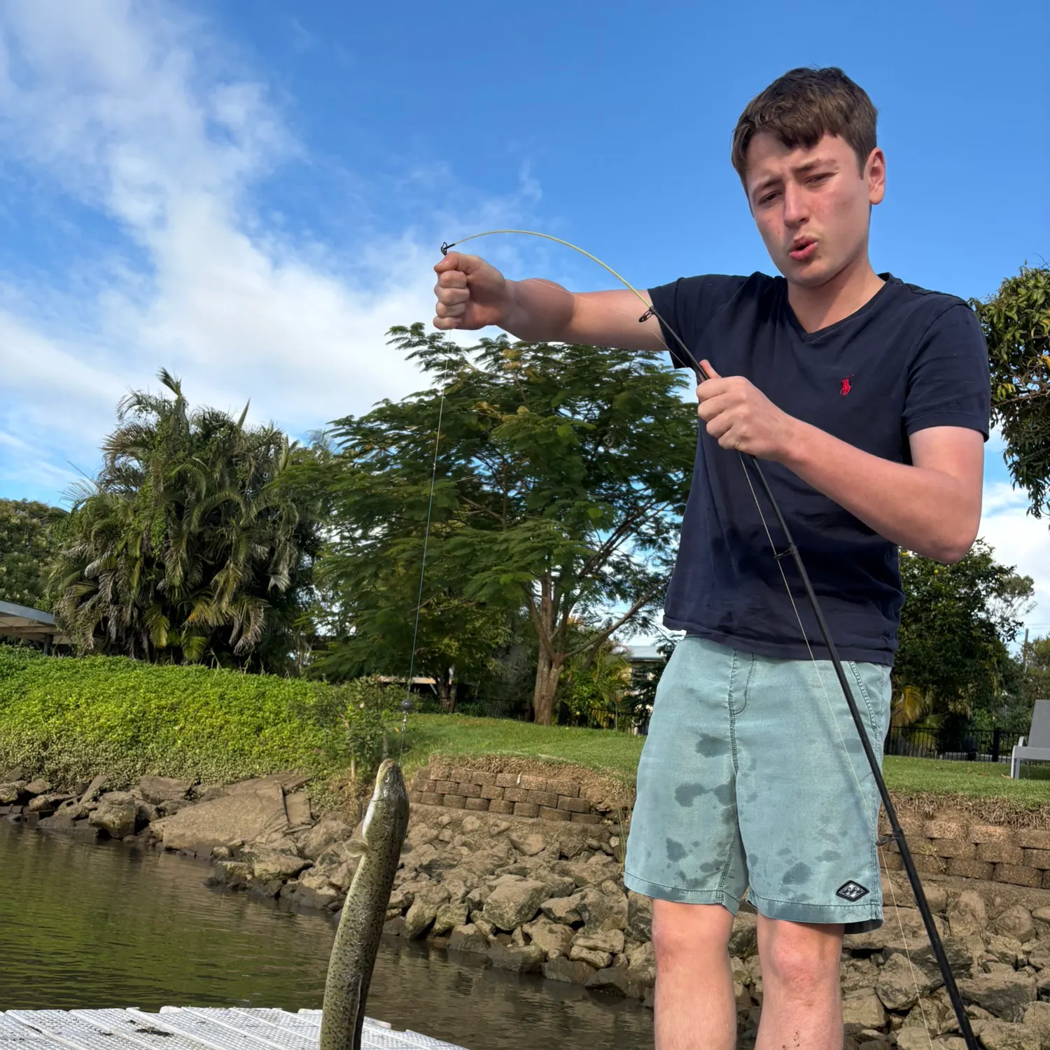 The most recent Speckled longfin eel catches on Fishbrain