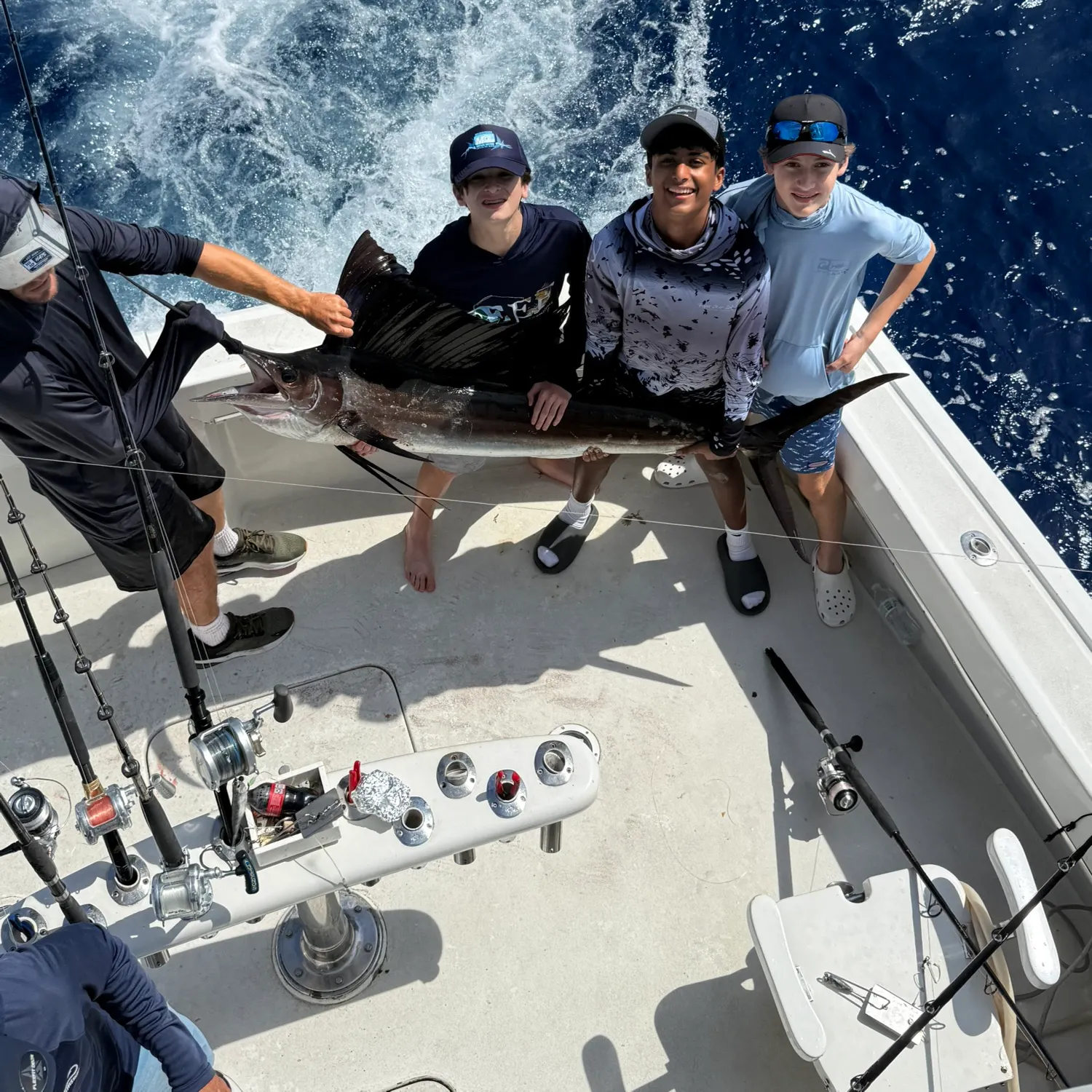 The most recent Atlantic sailfish catches on Fishbrain