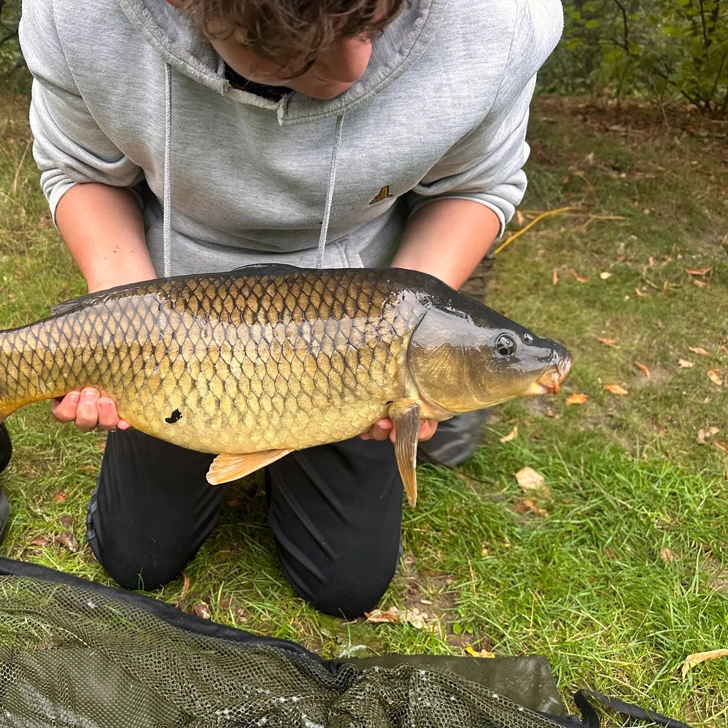 Common carp caught on Fishbrain