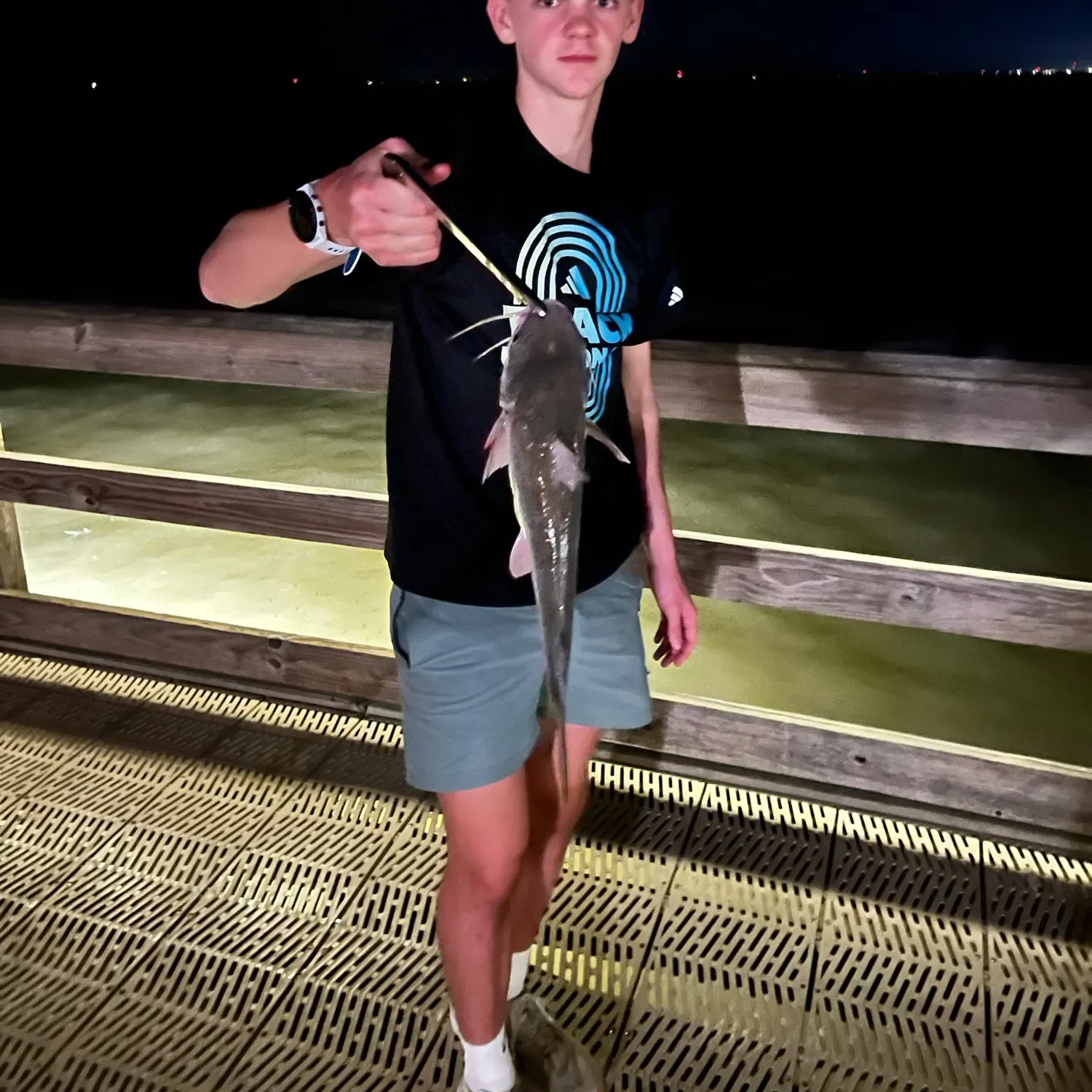 Hardhead sea catfish caught on Fishbrain