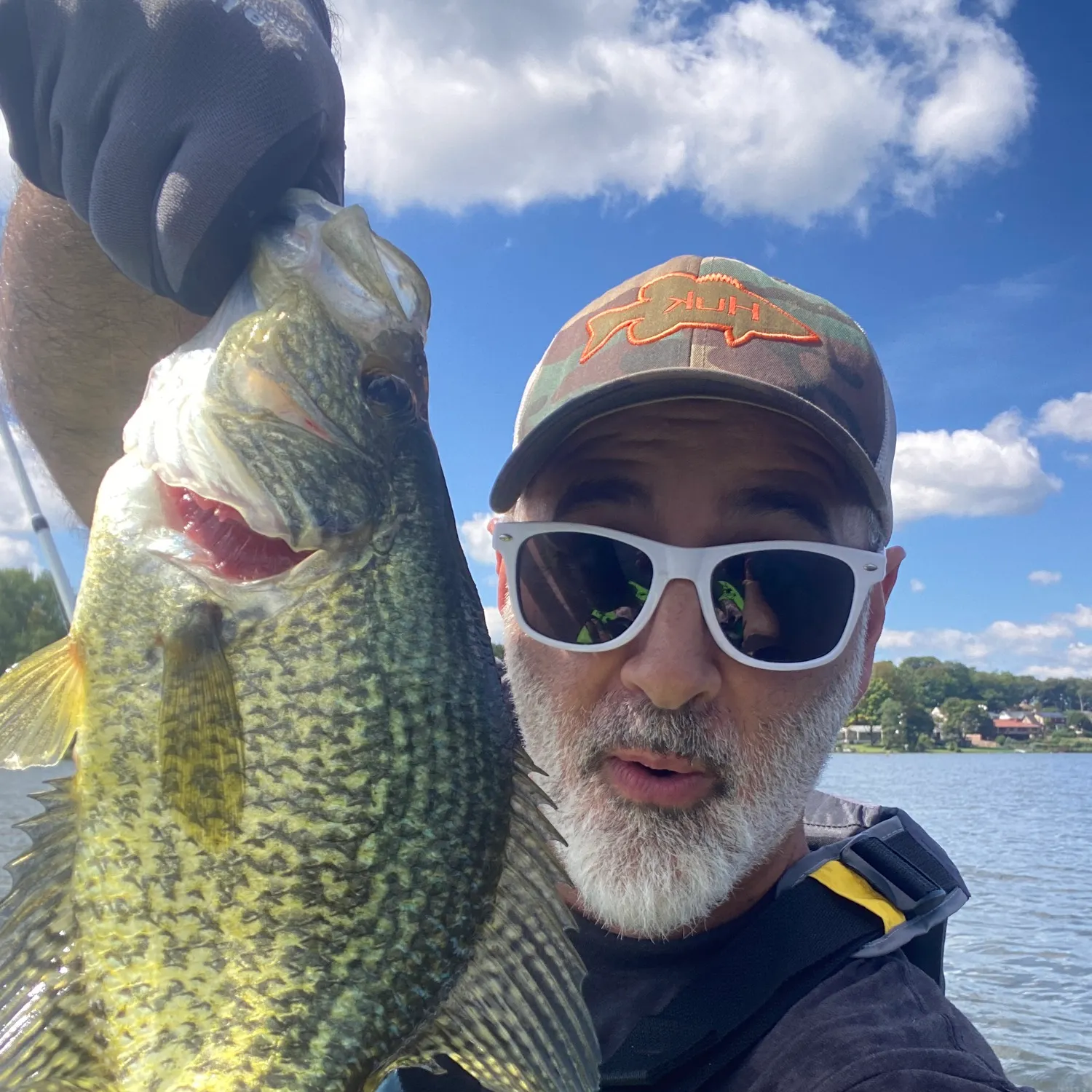 Black crappie caught on Fishbrain