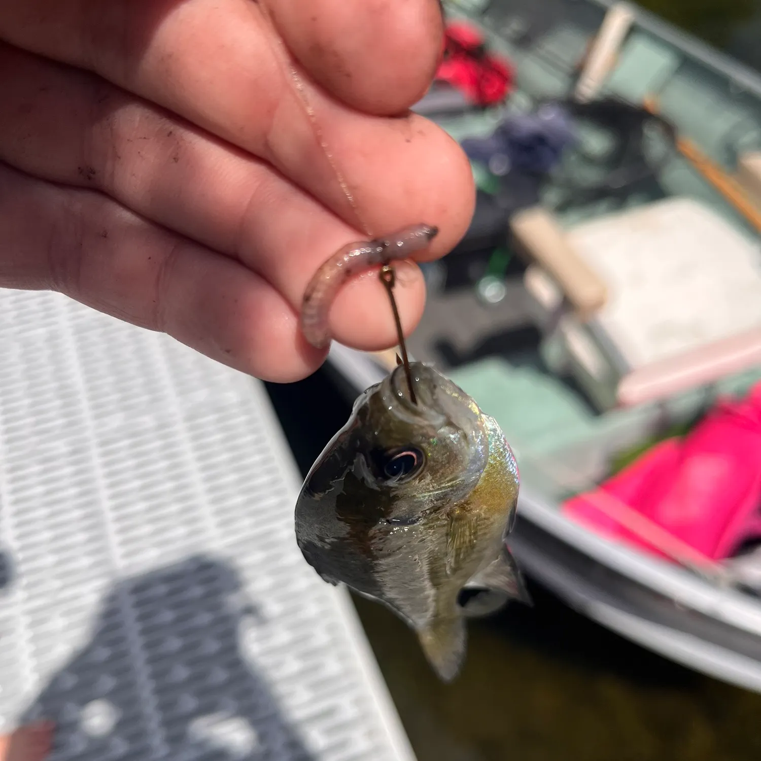 catch